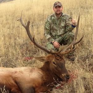 Meet your Posher, Logan